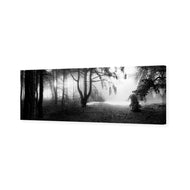 Winter Forest Pond BW