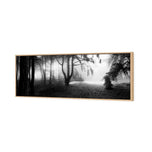 Winter Forest Pond BW