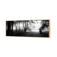 Winter Forest Pond BW