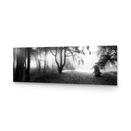 Winter Forest Pond BW