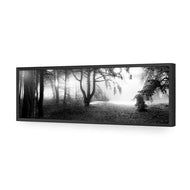 Winter Forest Pond BW