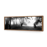 Winter Forest Pond BW