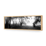 Winter Forest Pond BW