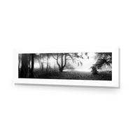 Winter Forest Pond BW