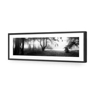Winter Forest Pond BW