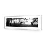Winter Forest Pond BW