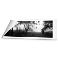 Winter Forest Pond BW