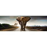 Determined Elephant