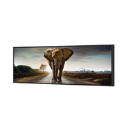 Determined Elephant