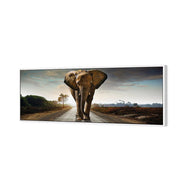 Determined Elephant