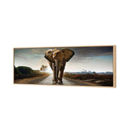 Determined Elephant