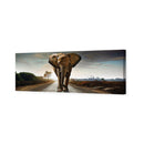 Determined Elephant