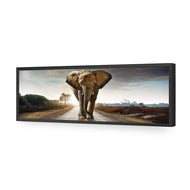 Determined Elephant
