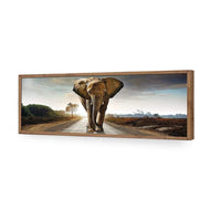 Determined Elephant