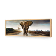 Determined Elephant