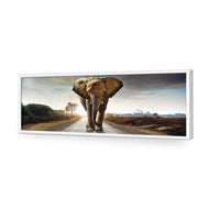 Determined Elephant