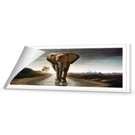 Determined Elephant