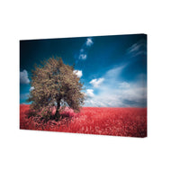 Crimson Meadow