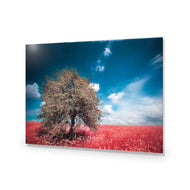 Crimson Meadow