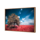 Crimson Meadow