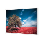 Crimson Meadow