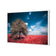 Crimson Meadow