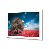 Crimson Meadow
