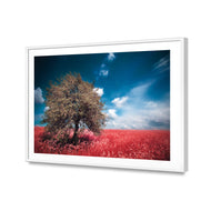 Crimson Meadow