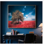 Crimson Meadow