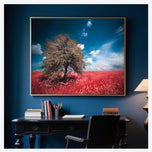 Crimson Meadow