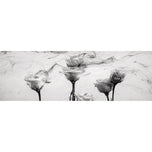 Rose Smoke