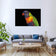 Billy the Rainbow Lorikeet