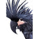 Squark the Black Cockatoo
