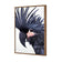 Squark the Black Cockatoo