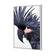Squark the Black Cockatoo