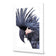 Squark the Black Cockatoo