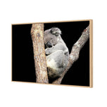 Sam the Sleepy Koala