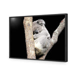 Sam the Sleepy Koala