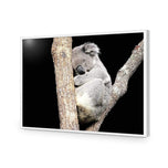 Sam the Sleepy Koala