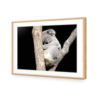 Sam the Sleepy Koala