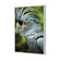 Percy the Palm Cockatoo, Left