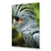Percy the Palm Cockatoo, Left