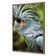 Percy the Palm Cockatoo, Left