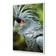 Percy the Palm Cockatoo, Left