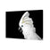Cassie the Cockatoo