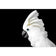 Cassie the Cockatoo