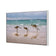 Kangaroos on Vacation