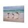 Kangaroos on Vacation