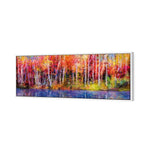 Rainbow Tree Forest