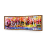 Rainbow Tree Forest